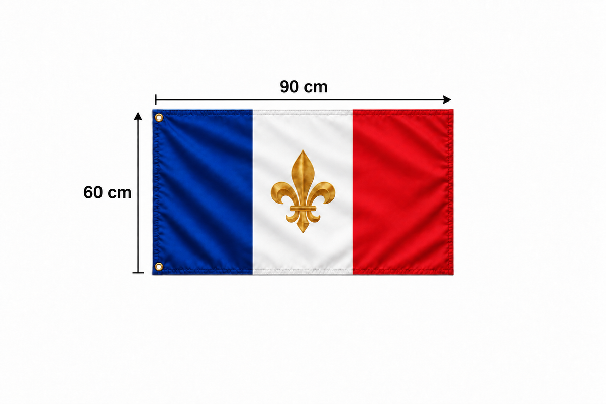 Drapeau français à fleur de lys dorée