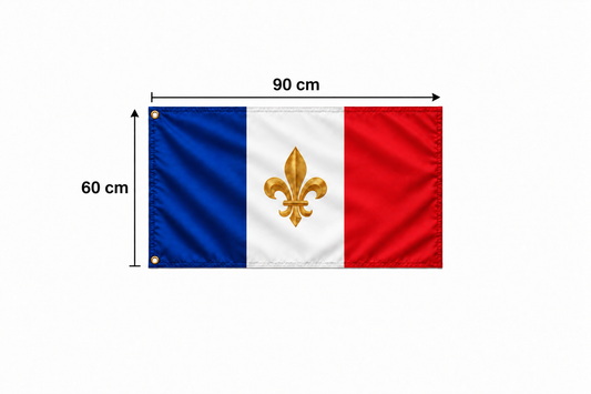 Drapeau français à fleur de lys dorée